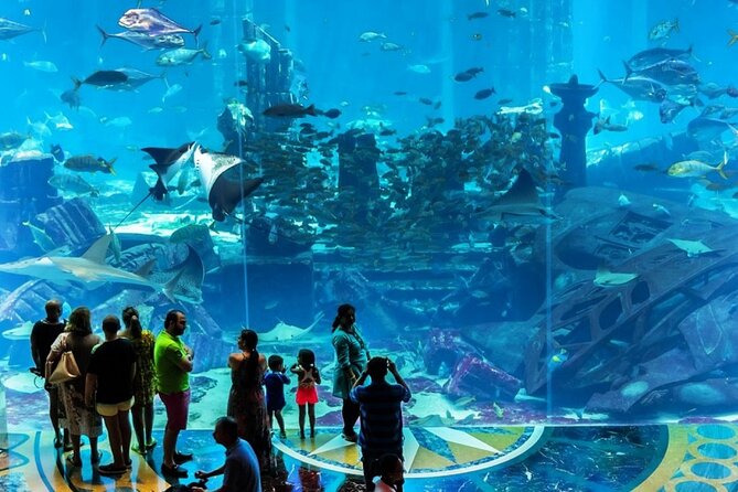 Atlantis Lost-Chamber Aquarium Dubai - The real value at $61.67