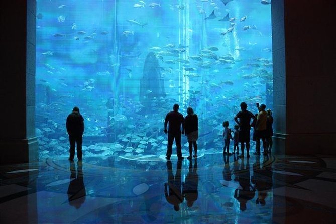 Atlantis Lost-Chamber Aquarium Dubai - Families, couples, and serious aquarium fans