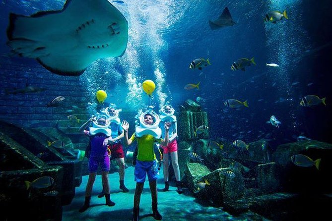 Atlantis Lost-Chamber Aquarium Dubai - Booking, transfers, and cancellation advice