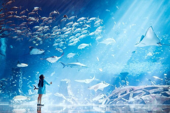Atlantis Lost-Chamber Aquarium Dubai - The Main Tank and Marine Life