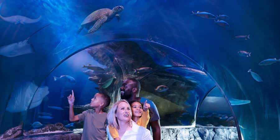 Auburn Hills: Legoland and Sea Life Aquarium Combo Ticket - Is $29 a good value?