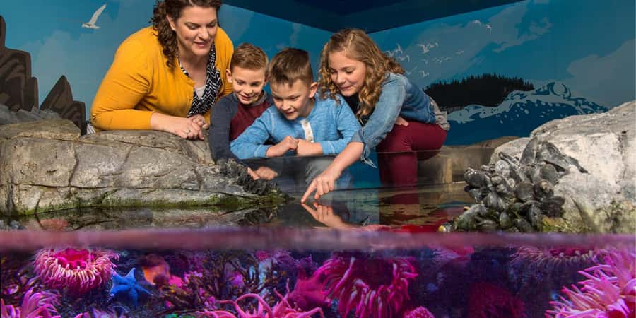Auburn Hills: Legoland and Sea Life Aquarium Combo Ticket - Starting at LEGOLAND Discovery Center Michigan