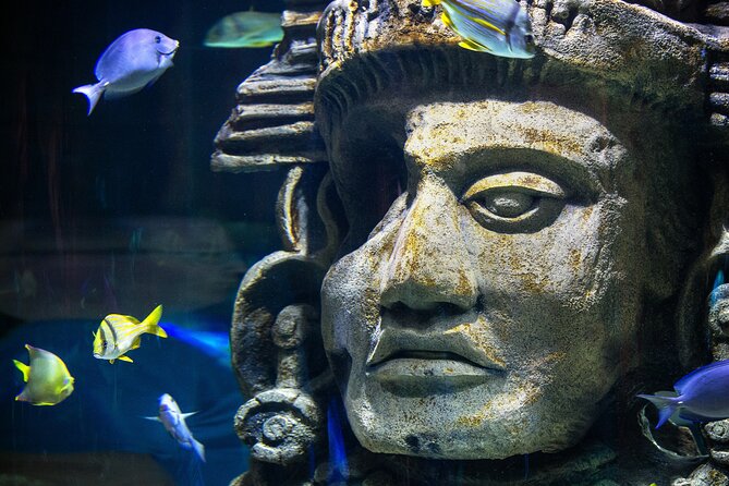 Audubon Aquarium and Insectarium Ticket - The 30-foot Great Maya Reef tunnel