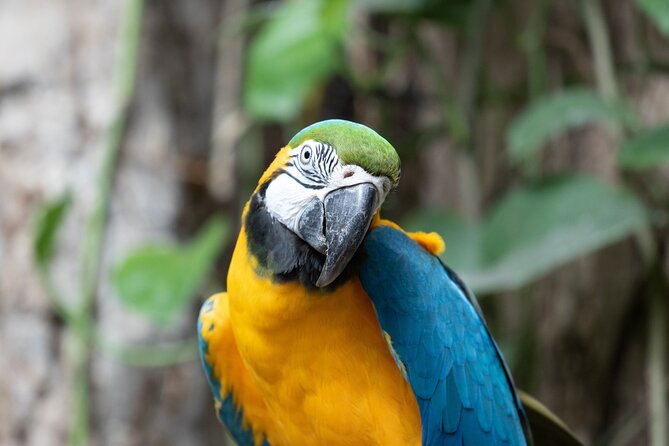 Audubon Aquarium and Insectarium Ticket - How long to allow and how to pace the visit