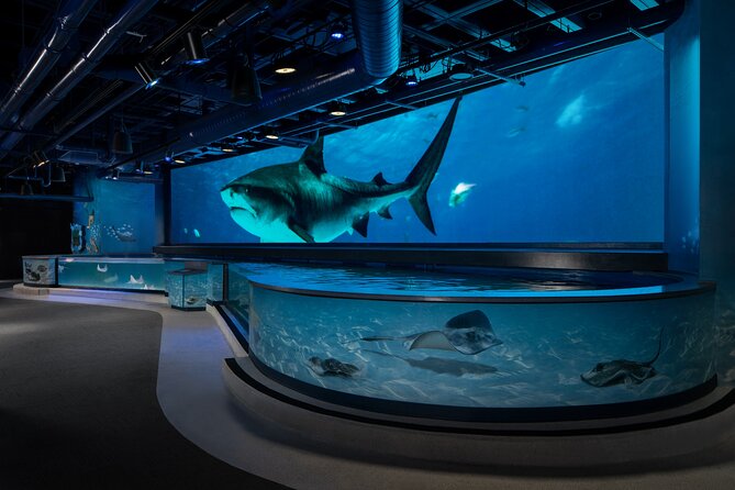Audubon Aquarium and Insectarium Ticket - The aquarium’s Gulf, Caribbean, and Mississippi story