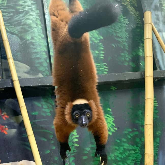 Austin Aquarium Entry Ticket - What the $31 ticket actually gives you