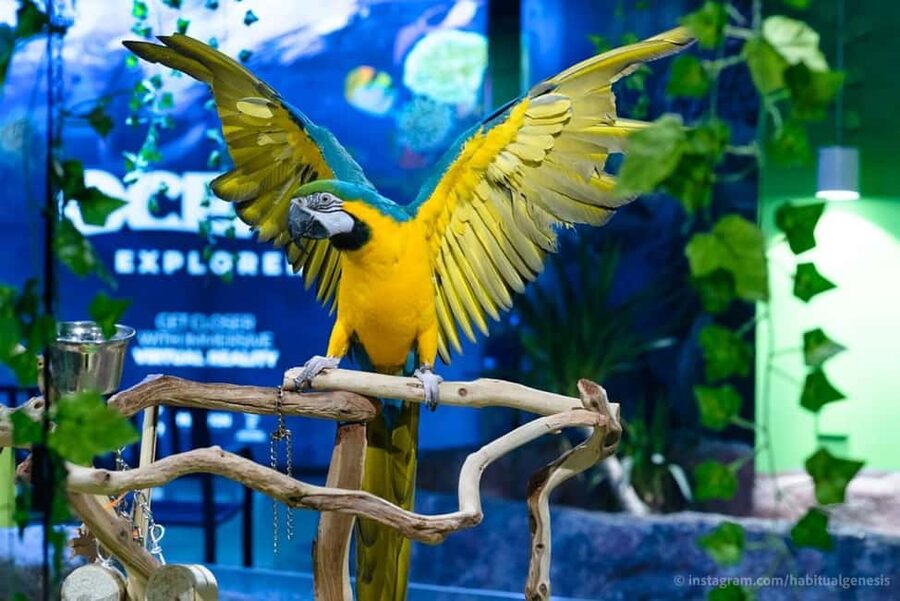 Austin Aquarium Entry Ticket - The rainforest vivarium and its land animals