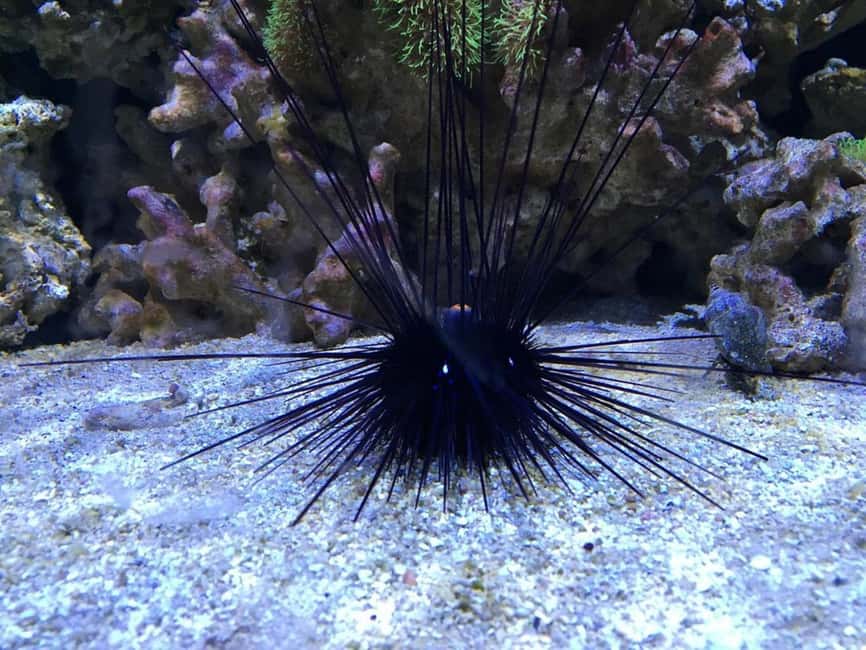 Austin Aquarium Entry Ticket - Should you book the Austin Aquarium?