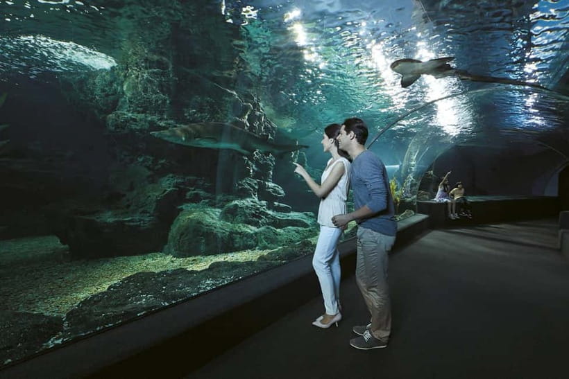 Bangkok: SEA LIFE Bangkok & Madame Tussauds Entry Ticket - Why this Siam pairing works so well