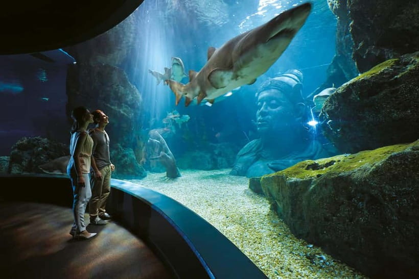Bangkok: SEA LIFE Bangkok Ocean World Entry Ticket - What your $31 ticket buys you