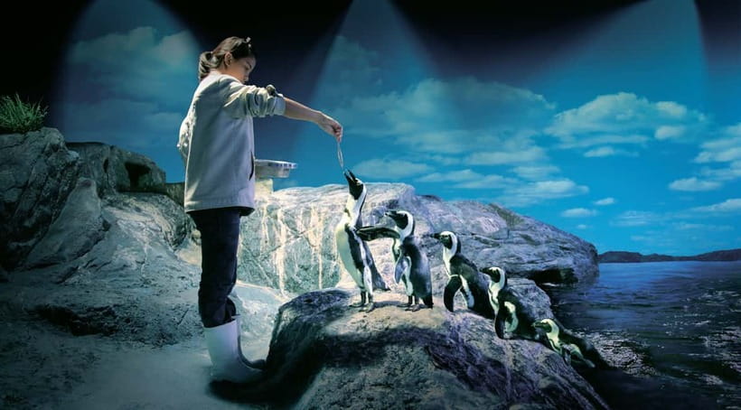 Bangkok: SEA LIFE Bangkok Ocean World Entry Ticket - A useful route through 11 themed zones