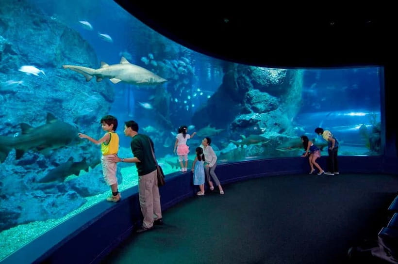 Bangkok: SEA LIFE Bangkok Ocean World Entry Ticket - Feeding shows give the visit a schedule