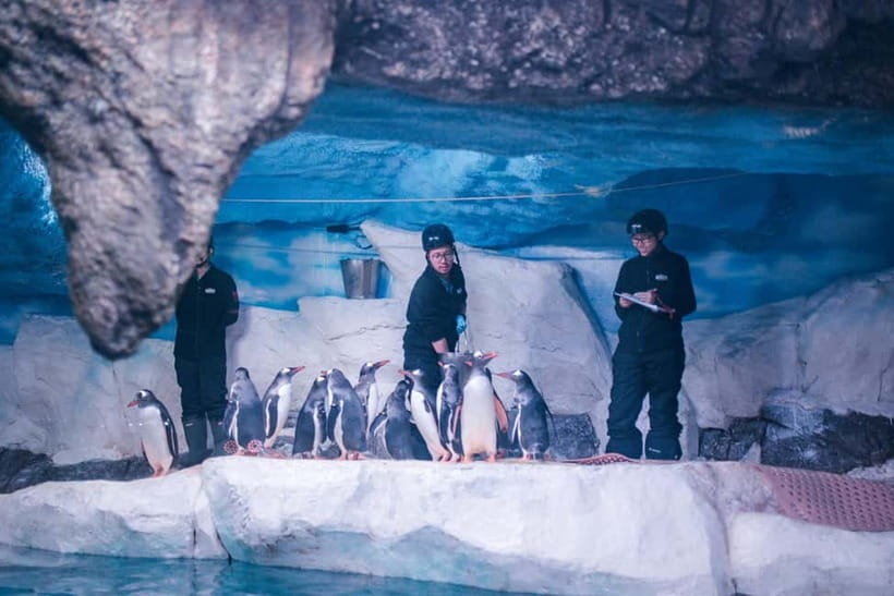 Bangkok: SEA LIFE Bangkok Ocean World Entry Ticket - Who will enjoy this aquarium most
