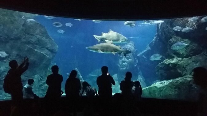 Bangkok SEA LIFE & Madame Tussauds Combo with Hotel Transfers - Quick Points Before You Book