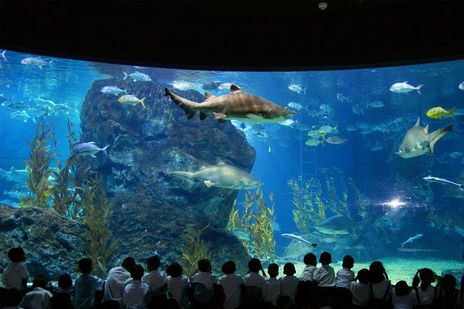 Bangkok SEA LIFE & Madame Tussauds Combo with Hotel Transfers - Two Bangkok Attractions in One Afternoon