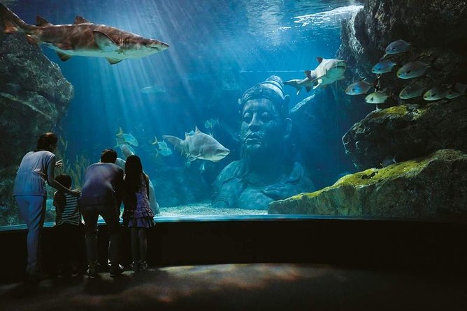 Bangkok SEA LIFE & Madame Tussauds Combo with Hotel Transfers - SEA LIFE Bangkok Ocean World: The Main Attraction