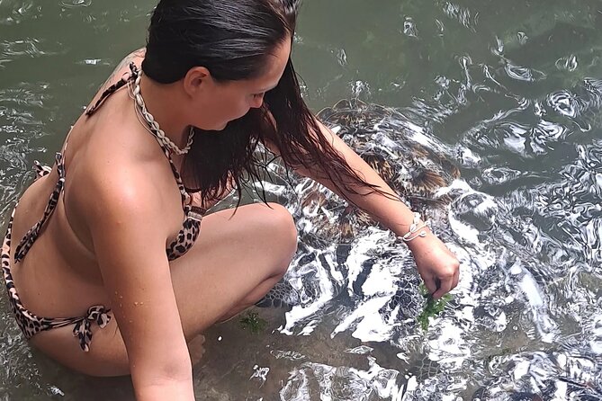 Baraka Aquarium and Dolphin Sightseeing with Sunset Cruise - Key points at a glance