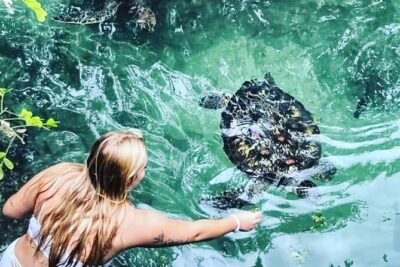 Baraka Aquarium and Dolphin Sightseeing with Sunset Cruise