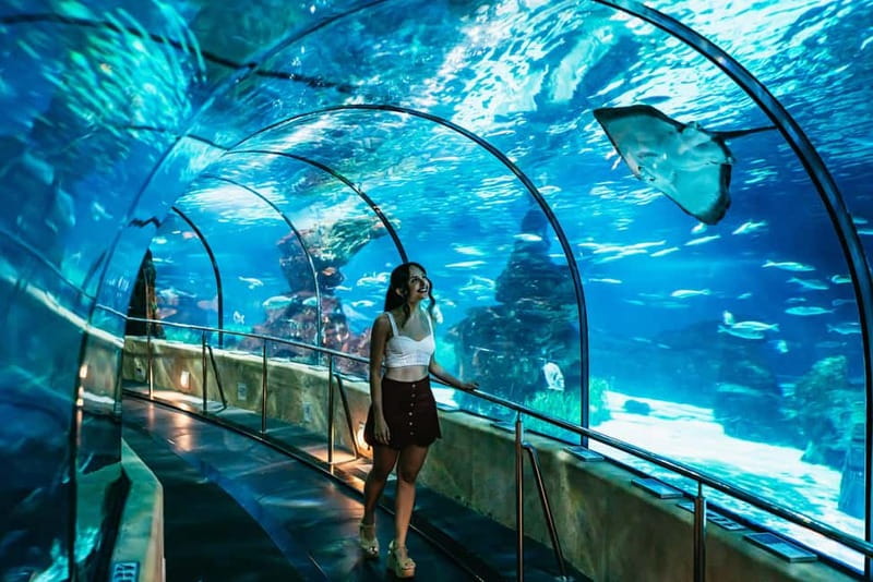 Barcelona Aquarium: Entry Ticket - Key things to know before visiting