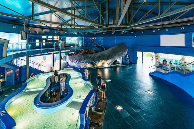 Barcelona Aquarium: Entry Ticket - Accessibility and practical comfort