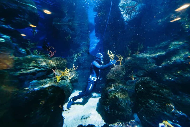 Barcelona Aquarium: Entry Ticket - Mediterranean and tropical habitats beyond the tunnel