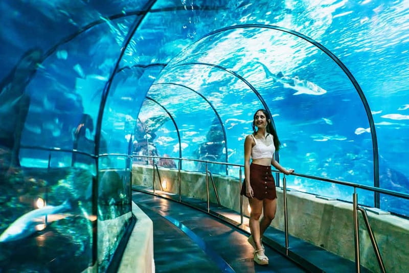 Barcelona Aquarium: Entry Ticket - How long to stay and when to go