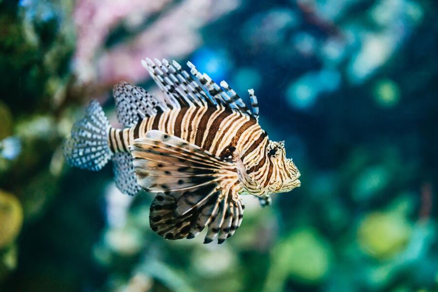 Barcelona Aquarium: Entry Ticket - Is the $34 ticket good value?