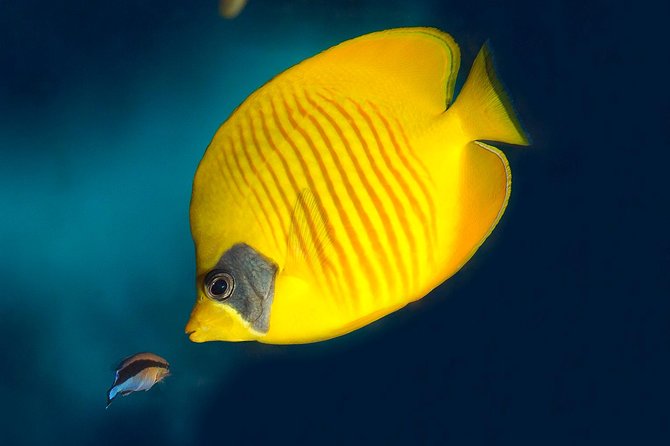 Barcelona Aquarium Skip the Line Ticket - Explora gives younger children a reason to linger