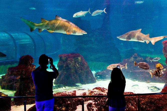 Barcelona Aquarium Skip the Line Ticket - How crowded is the experience?
