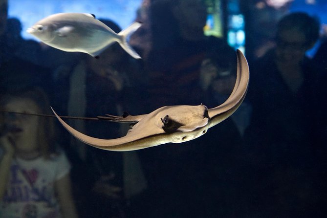 Barcelona Aquarium Skip the Line Ticket - Food, shopping, and the Port Vell setting