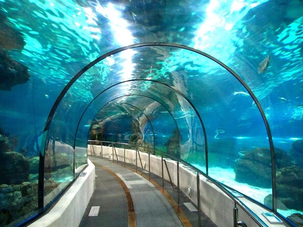 Barcelona City Tour Hop-On Hop-Off and Aquarium - Key points at a glance