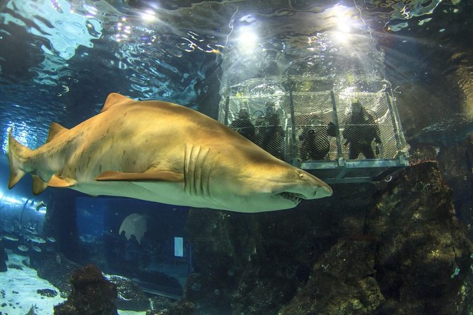 Barcelona City Tour Hop-On Hop-Off and Aquarium - The green East Route and the waterfront
