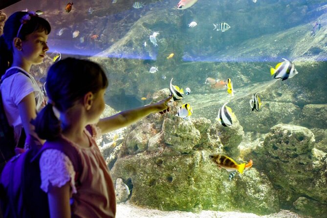 Barcelona City Tour Hop-On Hop-Off and Aquarium - Audio, comfort, and group details