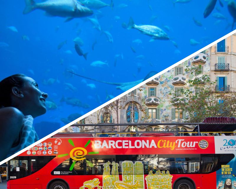 Barcelona: Hop-On Hop-Off Bus & Aquarium Tour - What this Barcelona combo actually gives you