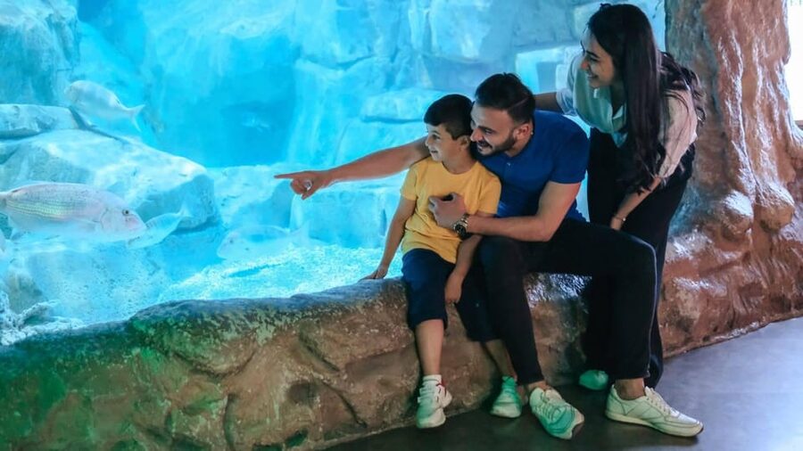 Barcelona: Hop-On Hop-Off Bus & Aquarium Tour - The green route connects Gaudí, the beach, and the old city