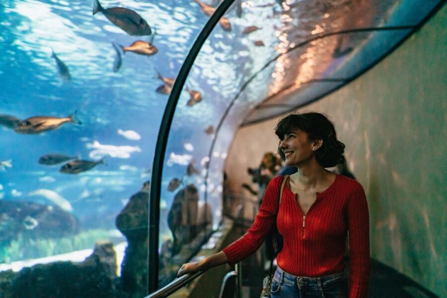 Barcelona: Hop-On Hop-Off Bus & Aquarium Tour - Riding the orange route from Montjuïc to Sagrada Familia