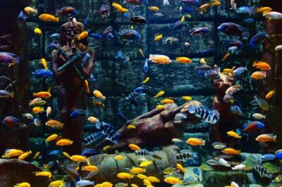 Belek: Antalya Aquarium Ticket With Optional Transfer