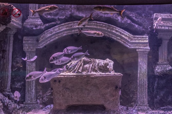 Belek: Antalya Aquarium Ticket With Optional Transfer - Who will enjoy this experience most?