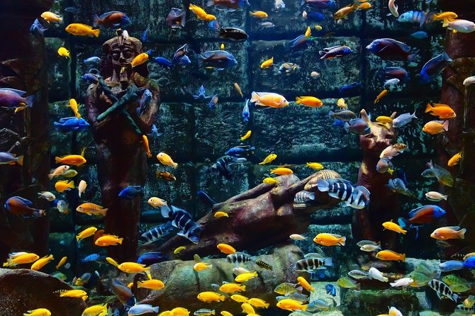 Belek: Antalya Aquarium Ticket With Optional Transfer - Face2Face Wax Museum adds a second kind of entertainment