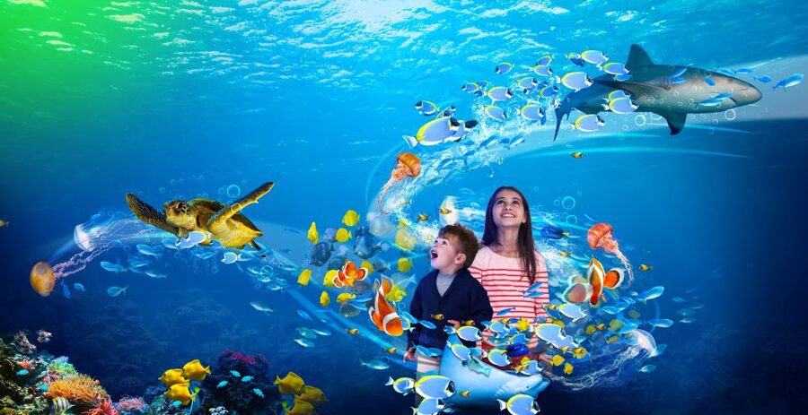 Benalmádena: Sea Life Benalmádena Premium Entry Ticket - Is $26 good value?