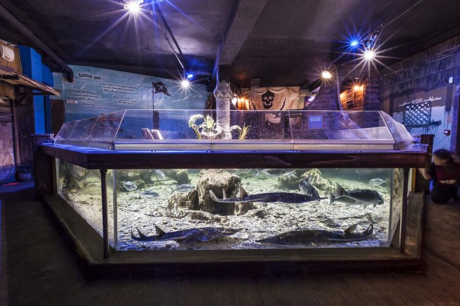 Benalmádena: Sea Life Benalmádena Premium Entry Ticket - Practical planning for your visit
