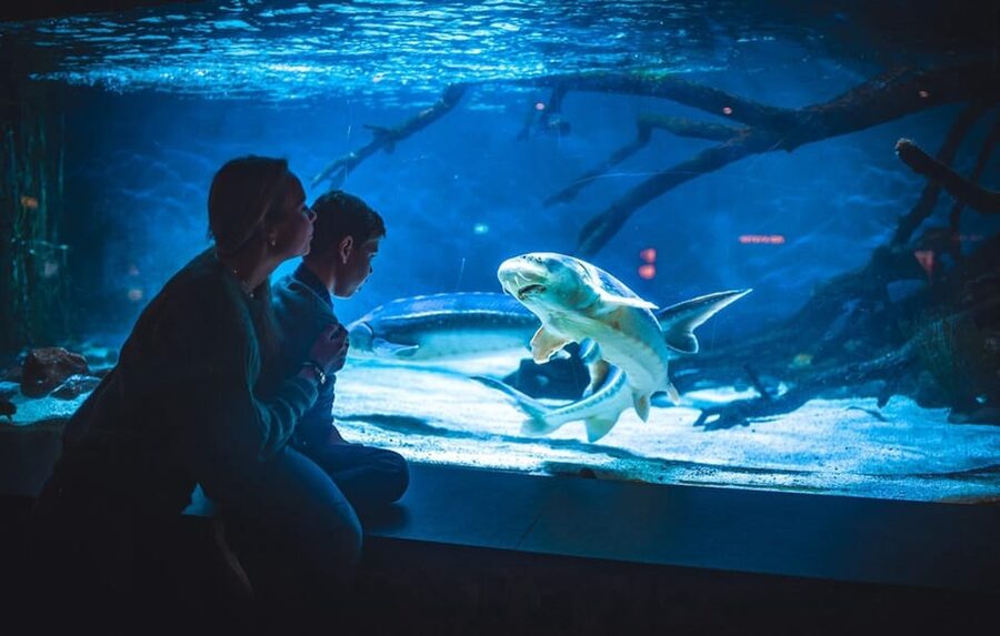 Bergen: Bergen Aquarium Entry Ticket - The fish exhibits and Norway’s coastal connection