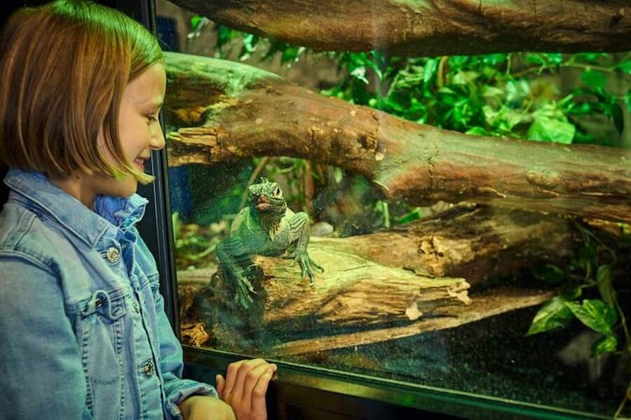 Bergen: Bergen Aquarium Entry Ticket - Location and the easiest ways to arrive