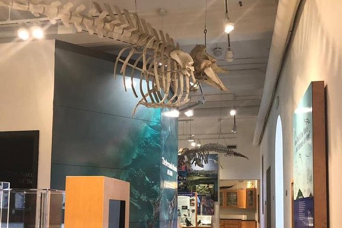 Bermuda Aquarium and Crystal Caves Admission - Is $159 a fair price?