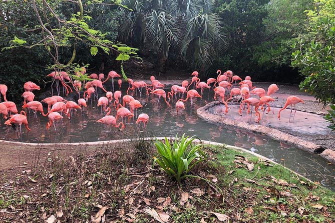 Bermuda Aquarium and Crystal Caves Admission - Inside the Bermuda Aquarium, Natural History Museum, and Zoo