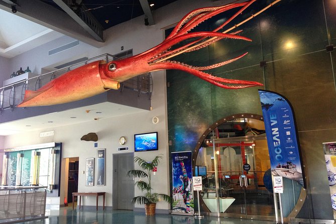 Bermuda Underwater Exploration Institute and Aquarium Adventure Day - Five things to know before you book