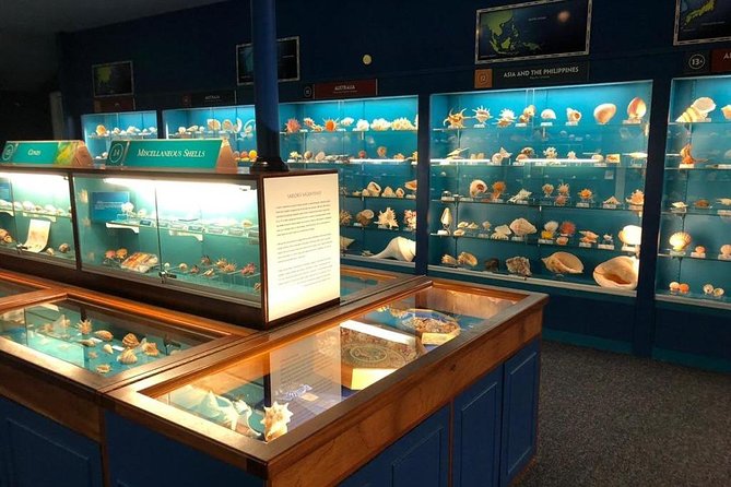 Bermuda Underwater Exploration Institute and Aquarium Adventure Day - Private transportation and the small-group setup
