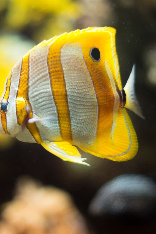 Bioparc Aquarium of Gijon Entry Ticket - Key things to know before visiting