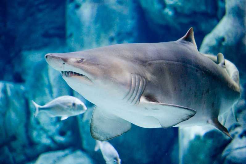 Bioparc Aquarium of Gijon Entry Ticket - Start with Asturias rivers and the Cantabrian coast
