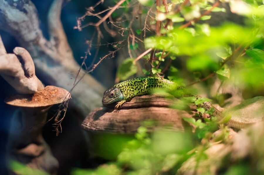 Bioparc Aquarium of Gijon Entry Ticket - Who will enjoy Gijón Aquarium most?